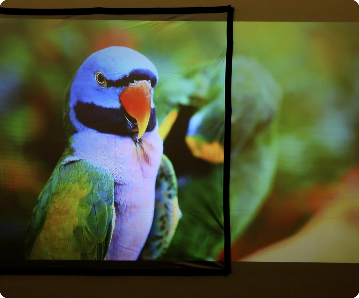 Photon E-ALR Projection Screen - Image 3