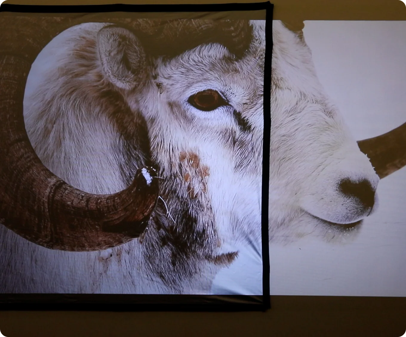 Photon E-ALR Projection Screen - Image 4