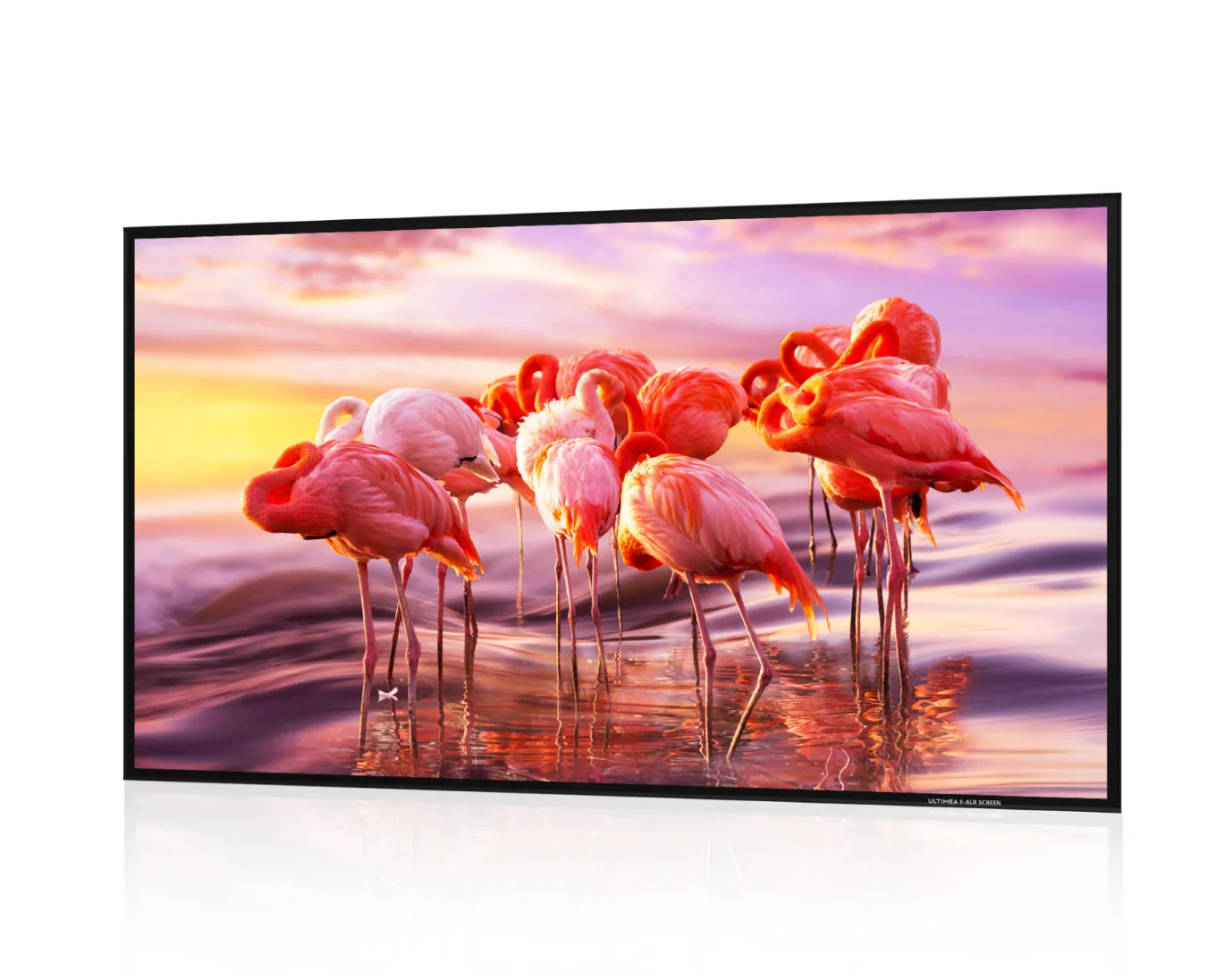 Photon E-ALR Projection Screen - Image 5